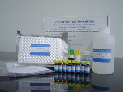 IL-1β檢測(cè)試劑價(jià)格與品牌對(duì)比 R&D、RB、IBI、Invitrogen進(jìn)口/國(guó)產(chǎn)綜合分析